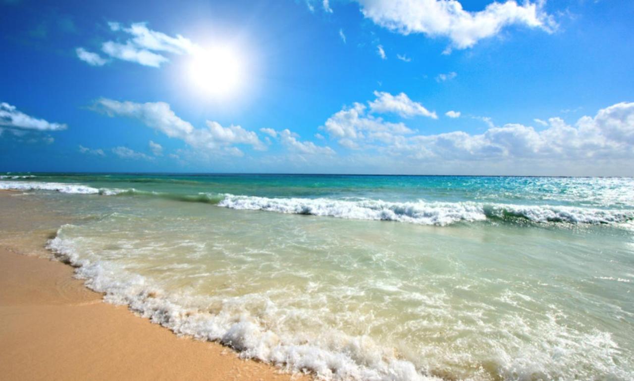 Amadeus XV 44 Studio Sunny Beach Centum Extérieur photo
